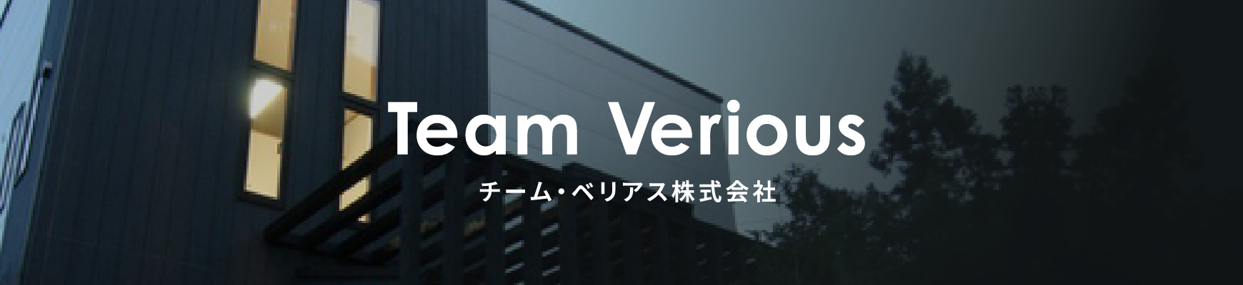 Team Verious チーム・ベリアス株式会社